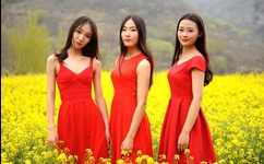 欧美高清vivoesond